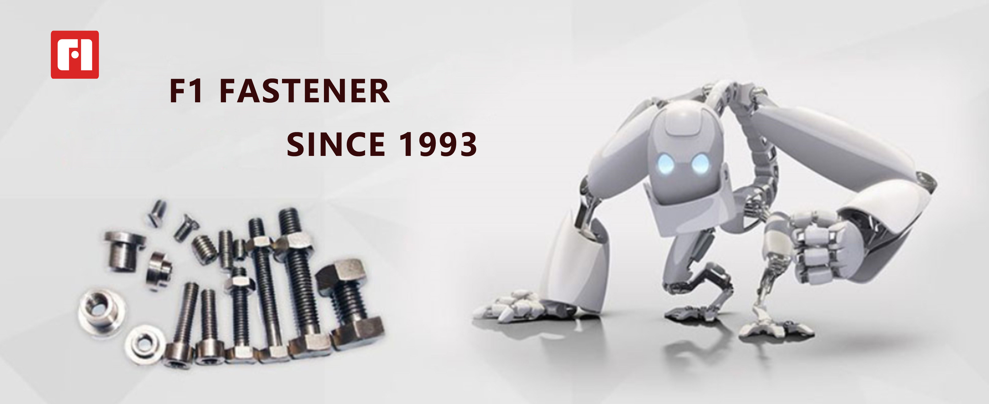 introduction of F1 fastener